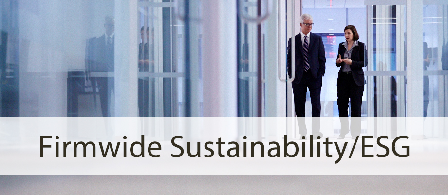 Firmwide Sustainability/ESG